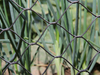 Stainless Steel Wire Rope Mesh