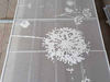 Perforated Decorative Mesh